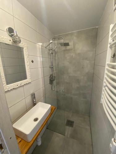 a bathroom with a sink and a shower at Apartament Lotos in Zator