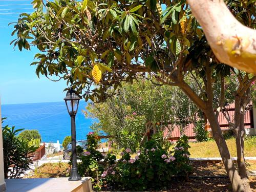 a street light next to a tree and the ocean at Nysa7 in Paphos City