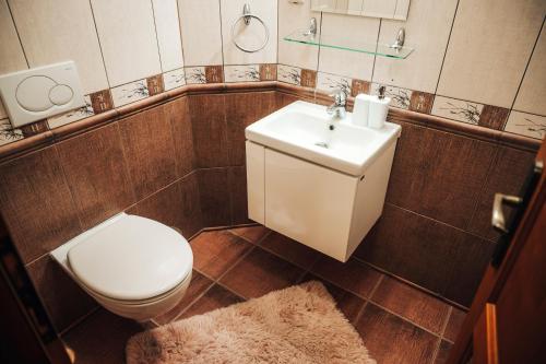 a small bathroom with a toilet and a sink at Vila Zuzka in Stará Lesná