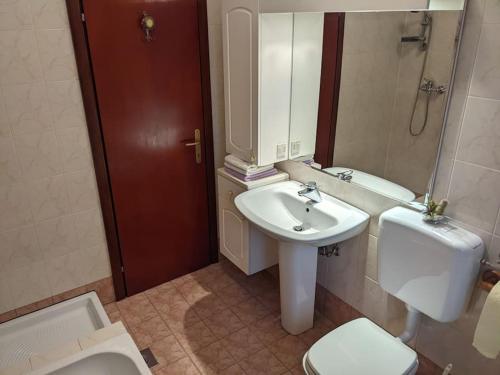 a bathroom with a sink and a toilet and a mirror at Apartment Kolodvor in Dornberk