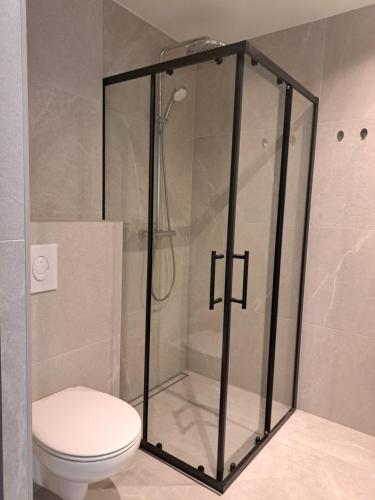 a shower stall in a bathroom with a toilet at Ösel Residence in Kuressaare