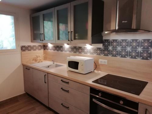 une cuisine avec un micro-ondes et un évier dans l'établissement Aux 3 Licornes, à Nevy-sur-Seille