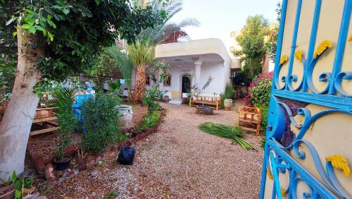 Taman di luar Nile Heaven Villa guest house