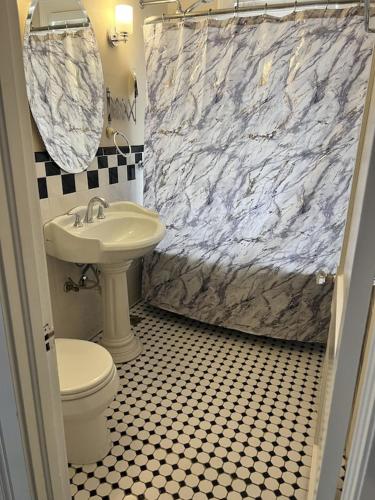 a bathroom with a sink and a toilet and a shower at Secret Oasis In The Heart Of Hartford in Hartford