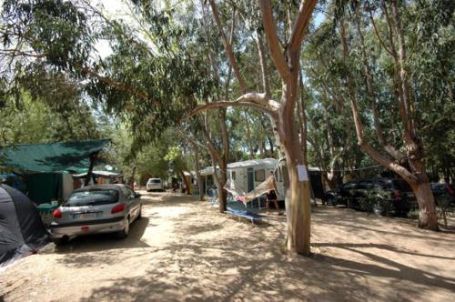 Camping Larocca – Photos 2