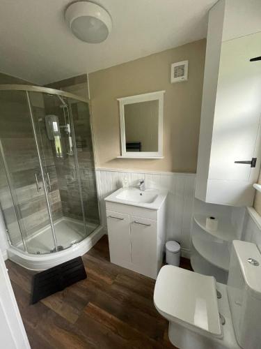 a bathroom with a shower and a sink and a toilet at Tyddyn Bach Bunkhouse in Betws-y-coed