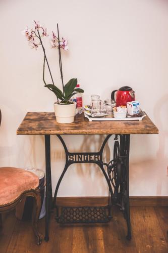 a table with a potted plant on top of it at Agriturismo Rivella in Barbaresco