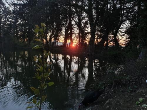 a sunset over a river with trees and the water at Chiosi Country Club in Corleone