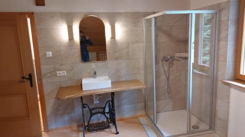 ein Bad mit einem Waschbecken und einer Dusche in der Unterkunft idyllischer Landhof Nähe Millstättersee in Fresach