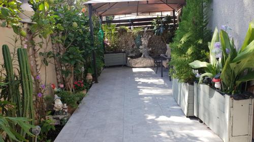 a walkway in a garden with plants at Amazing in Haifa