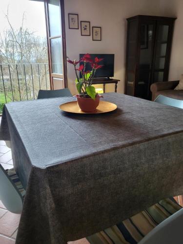 a table with a plate with a plant on it at Villa Torricelli Scarperia - Il Giardinetto Residence in Scarperia