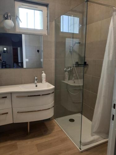 une salle de bain avec un lavabo et une douche dans l'établissement Maison Rouge, à Montagne