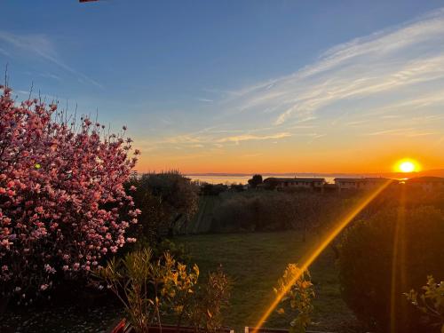 Villa Venezia Bardolino photo 3