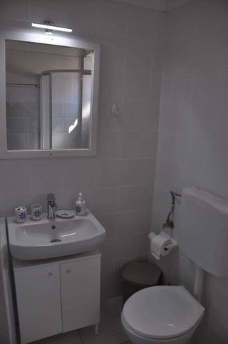 a bathroom with a toilet and a sink and a mirror at Evdilos apartments with a view in Evdilos
