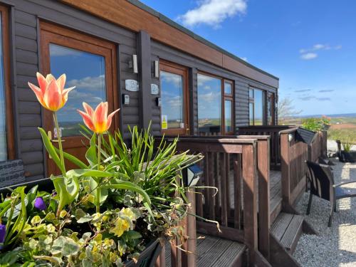 Downderry的住宿－Whitsand Bay Tamar Suite，甲板上种有鲜花的小木屋
