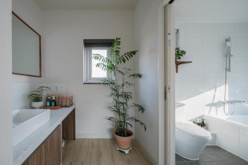 a bathroom with a toilet and a plant in it at Day One Jeju Sulrem in Jeju