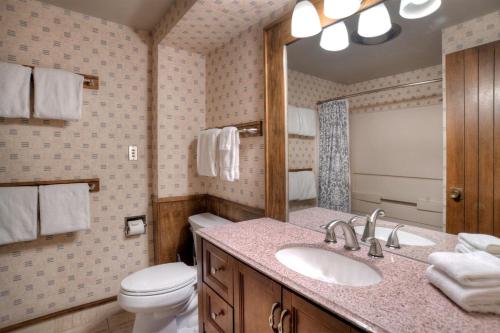 a bathroom with a sink and a toilet and a mirror at Tamarron Lodge Loft 338 in Durango