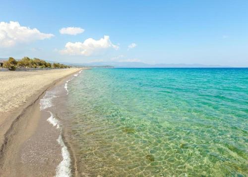 Naturlandskabet i nærheden af lejligheden