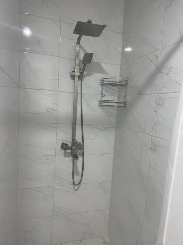 a shower with a shower head in a bathroom at Мелодія Гір .Апартаменти з видом на гори . in Vorokhta