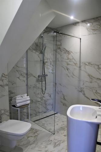 a bathroom with a shower and a toilet and a sink at Le Bailliage Hôtel & Spa in Salers