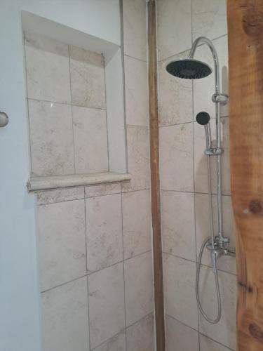 ein Bad mit einer Dusche mit einem Duschkopf in der Unterkunft Chambre basilic 2p, 2 nuits max, dans petit chalet 6km du festival de piano de la roque d'anthéron in Rognes