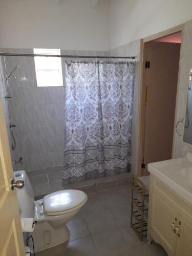 Un baño con inodoro y cortina de ducha. en CuraSol, en Dorp Sint Michiel