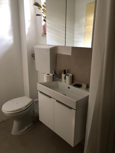 Koupelna v ubytování Goldberg - Apartman Lana