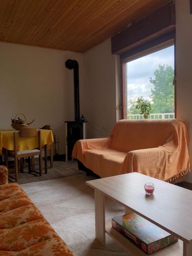un soggiorno con divano, tavolo e finestra di Goldberg - Apartman Lana a Popovac