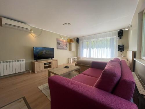 a living room with a purple couch and a tv at Kastani stay in City Center - with Sauna in Tartu