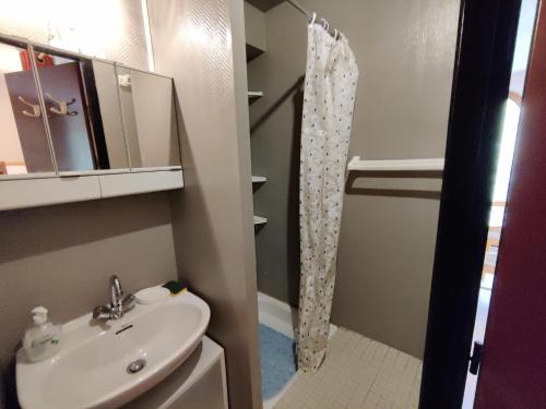 a bathroom with a sink and a shower at Appartement T2 CABINE Résidence Eugénie in Luz-Saint-Sauveur