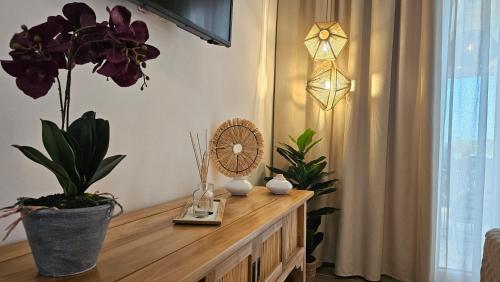 Televisyen dan/atau pusat hiburan di Plaka Philoxenia Apartments