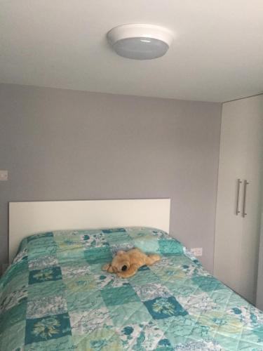 a brown dog laying on top of a bed at home away from home in Croydon