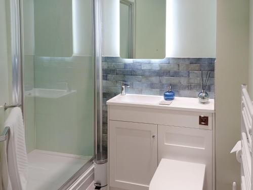 a bathroom with a white sink and a shower at Kings Haven in Turnchapel
