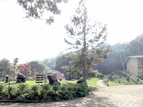 a park with a tree and a hill in the background at Pousada Juriti - Eco Hotel in São Roque
