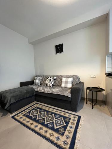 een woonkamer met een bank en een tapijt bij Izo's Home in Koetaisi