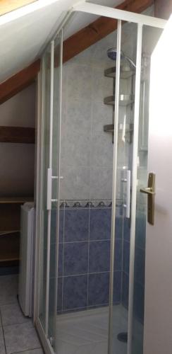 une salle de bain avec une douche avec une porte vitrée dans l'établissement Maison cosy au cœur du Lochois, à Loches