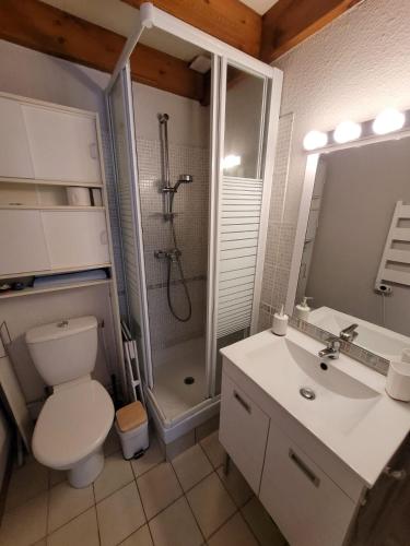 une salle de bain avec une douche, des toilettes et un lavabo dans l'établissement Maison tout confort à la mer 200m de la plage, 2 chambres, 2min Royan, à Saint-Georges-de-Didonne