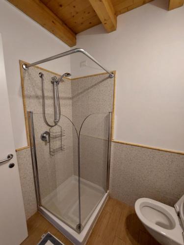 a bathroom with a shower and a toilet at Pizzocolo resort fasano in Gardone Riviera