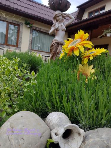 Zahrada ubytování Grădina Magică a Lavandei Glamping