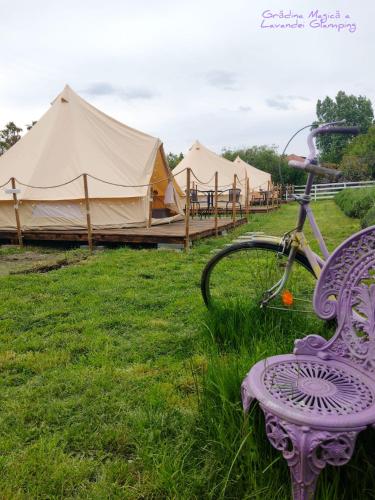 Zahrada ubytování Grădina Magică a Lavandei Glamping