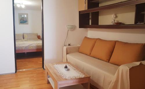 斯塔拉巴斯卡的住宿－Apartmani Košutić，带沙发和镜子的客厅