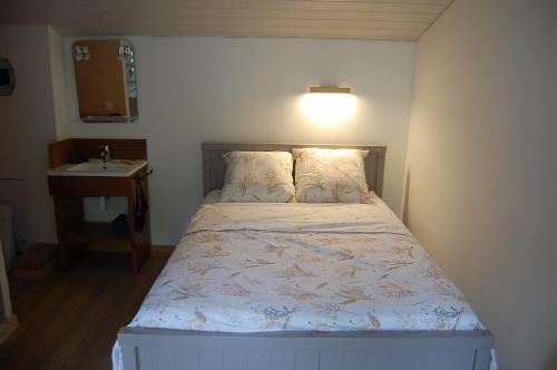 Dormitorio pequeño con cama y lavamanos en Shayton Natura, en Aix-les-Bains