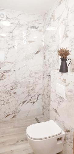 a bathroom with a white toilet and a marble wall at Aparthotel Monterria in Bar