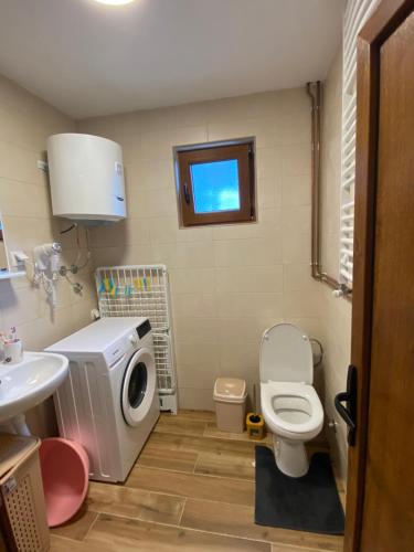 a bathroom with a toilet and a sink and a washing machine at Magia di montagna in Žabljak