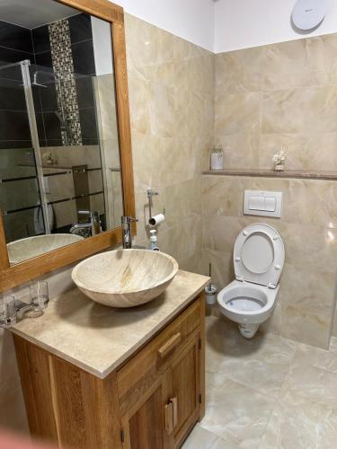 a bathroom with a sink and a toilet at Apartment la mare in Agigea
