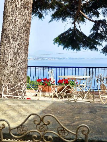 a bench sitting next to a tree and the ocean at Residence Villa Giordano in Vietri sul Mare