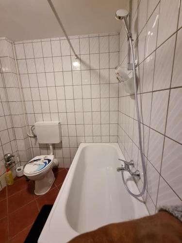 a bathroom with a bath tub and a toilet at Workers Home Salzburg in Salzburg