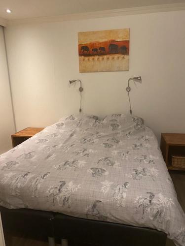 Chalet – Photos 3
