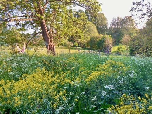 a field of flowers with a giraffe in the background at Nachtegael Poorthuis. Een ruime, lichte woning in loft stijl. in Kluisbergen