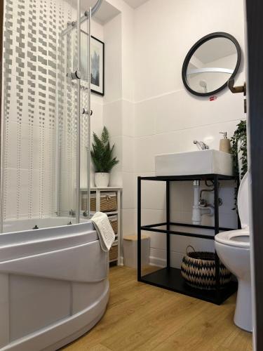 a bathroom with a bath tub and a sink at Bulevard mansards in Satu Mare